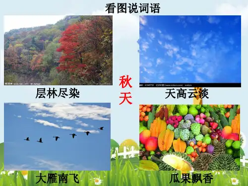 新版三年级上册语文课件-04 古诗三首《赠刘景文》∣人教(部编版)(共19张PPT)演示课件