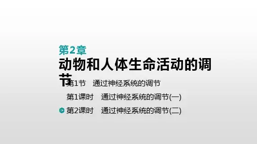 人教版《通过神经系统的调节》课件ppt5〔完美版〕