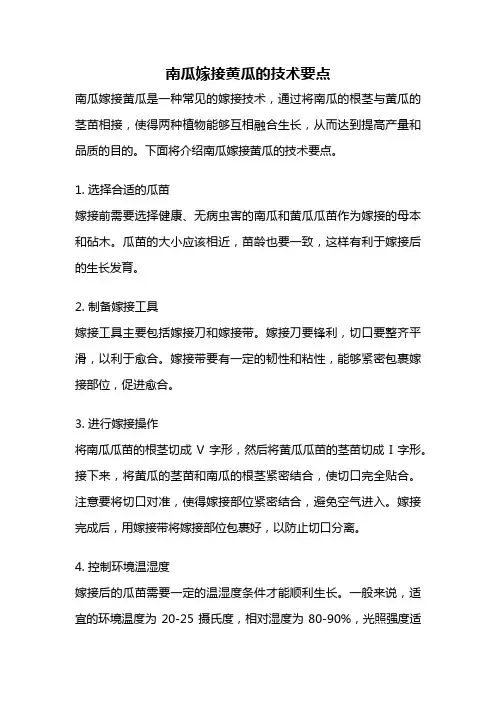 南瓜嫁接黄瓜的技术要点