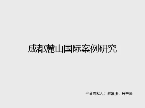 成都麓山国际营销定位分享