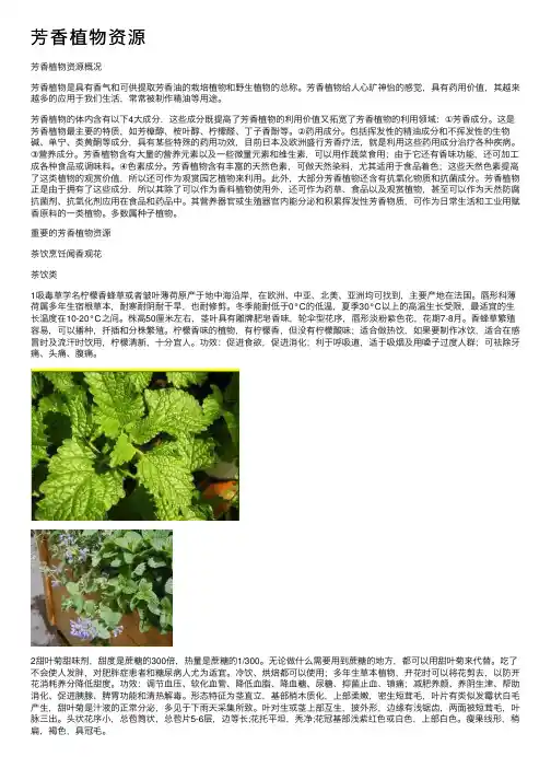芳香植物资源