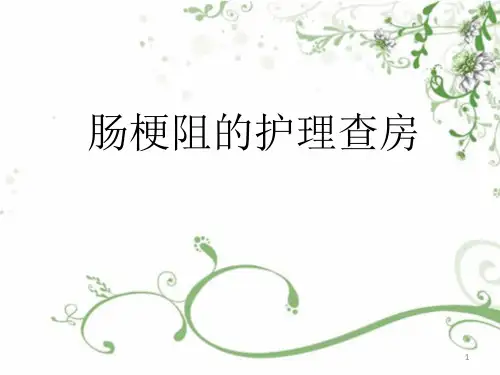 肠梗阻的护理查房PPT课件