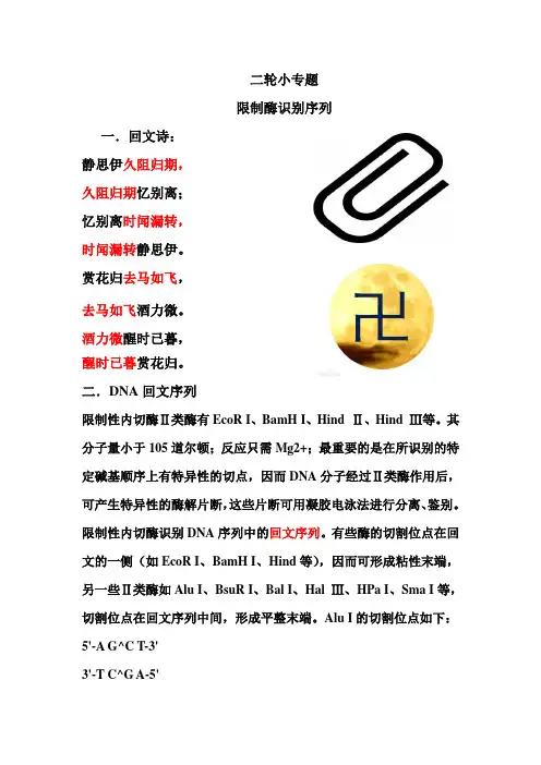 限制酶识别序列