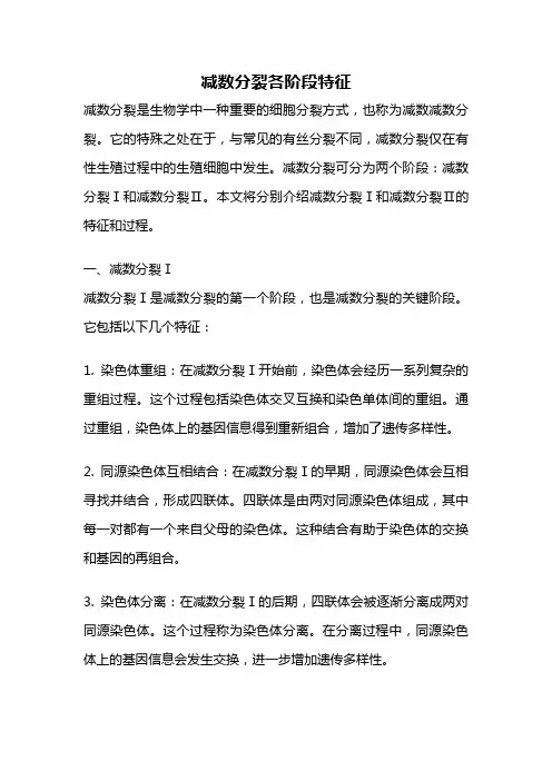 减数分裂各阶段特征
