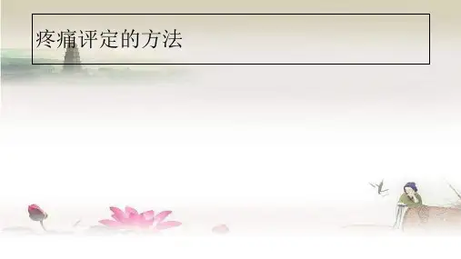 疼痛的评定方法ppt课件