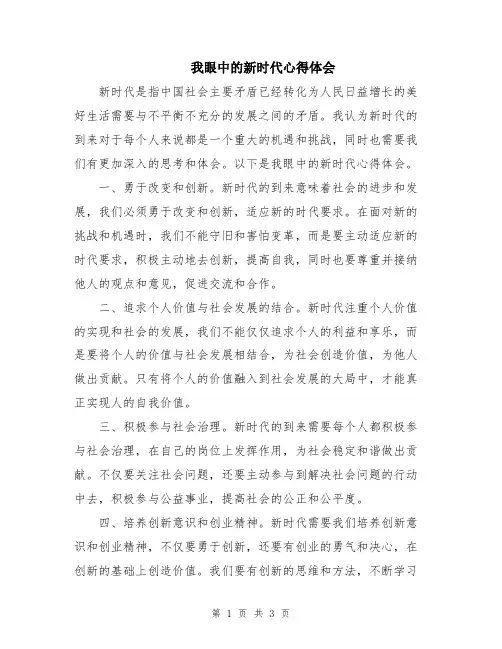 我眼中的新时代心得体会