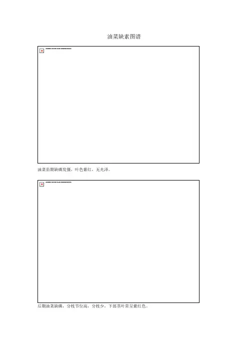 油菜缺素图谱