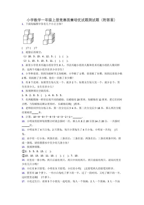 小学数学一年级上册竞赛质量培优试题测试题(附答案)