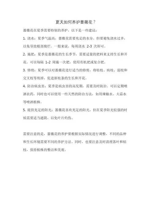夏天如何养护蔷薇花？