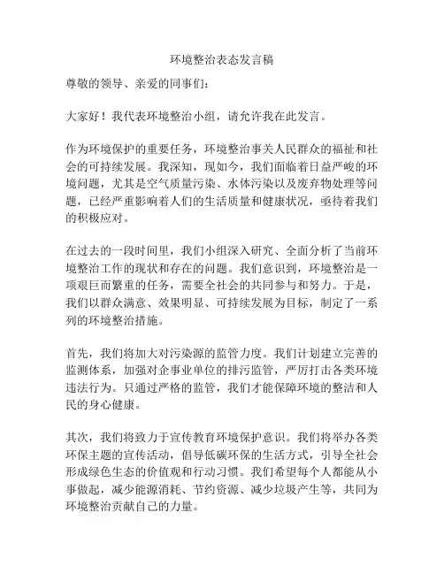 环境整治表态发言稿