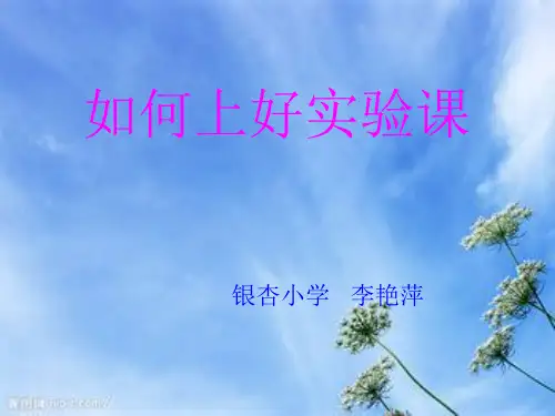 如何上好实验课PPT教学课件