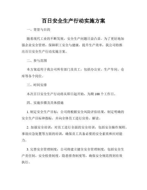 百日安全生产行动实施方案
