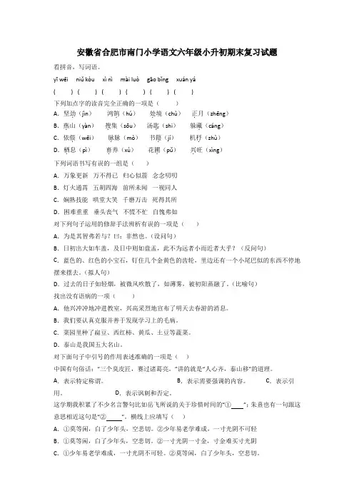 安徽省合肥市南门小学语文六年级小升初期末复习试题