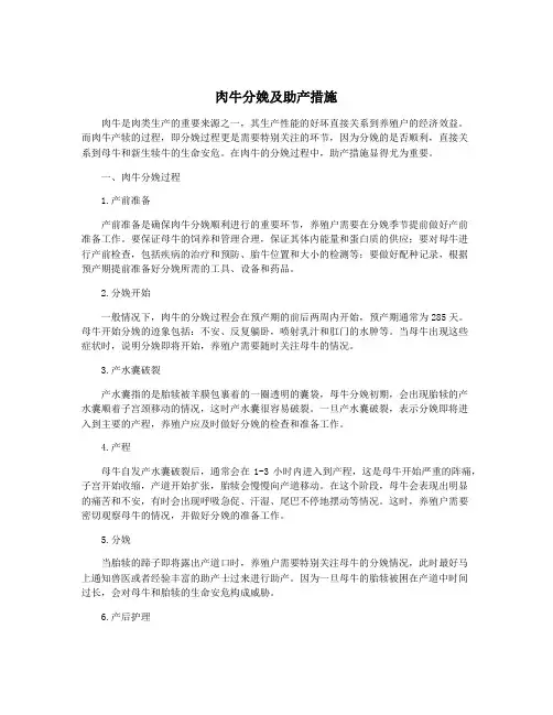 肉牛分娩及助产措施