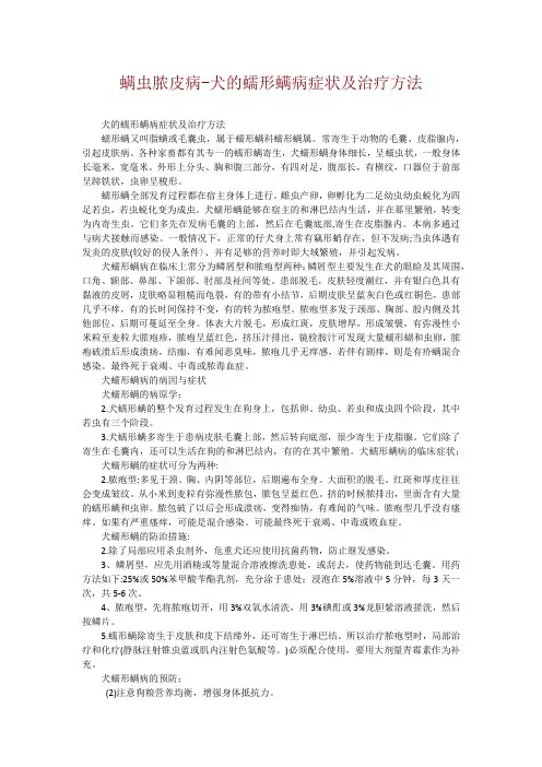 螨虫脓皮病-犬的蠕形螨病症状及治疗方法