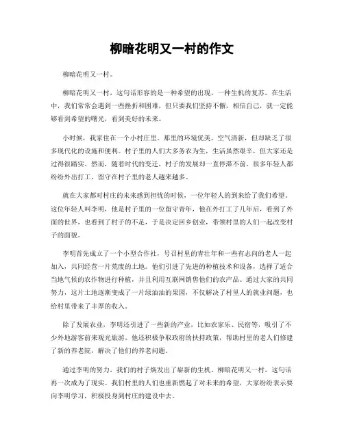 柳暗花明又一村的作文