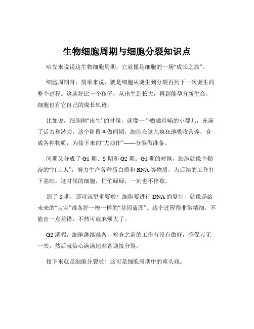 生物细胞周期与细胞分裂知识点