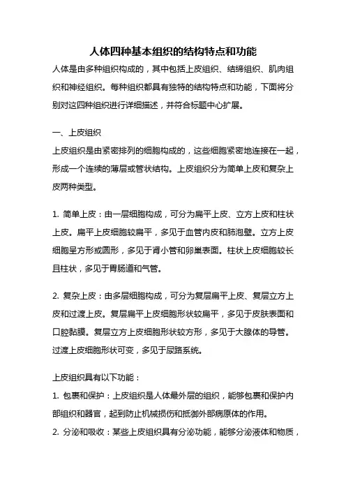 人体四种基本组织的结构特点和功能