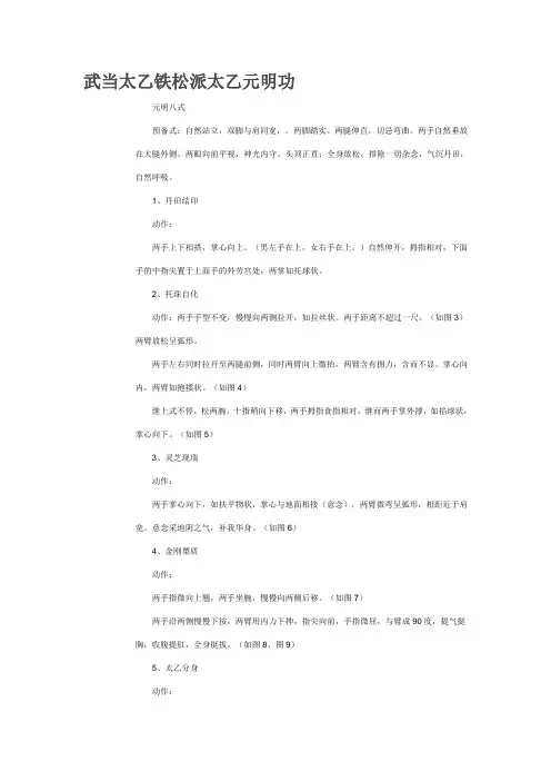 武当太乙铁松派太乙元明功