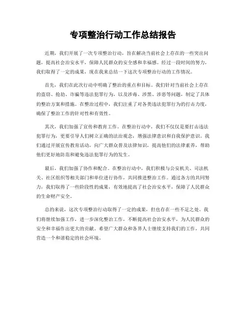 专项整治行动工作总结报告