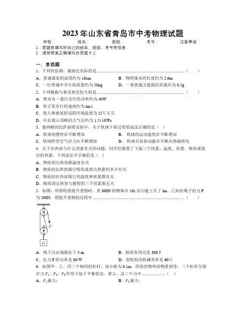 2023年山东省青岛市中考物理试题及解析