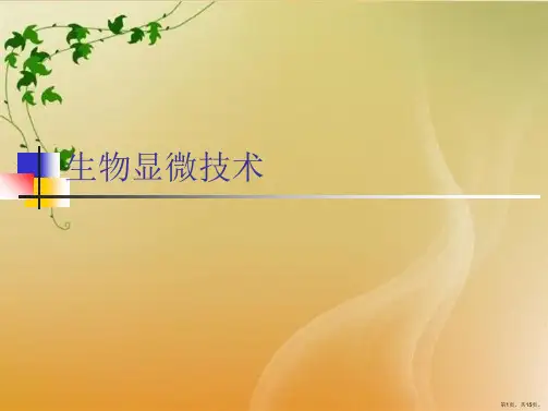 生物显微技术