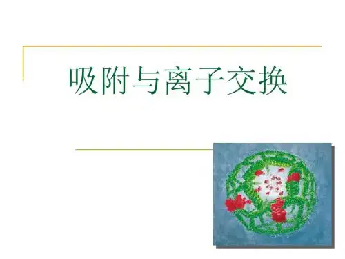 吸附与离子交换