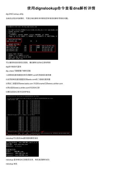 使用dignslookup命令查看dns解析详情