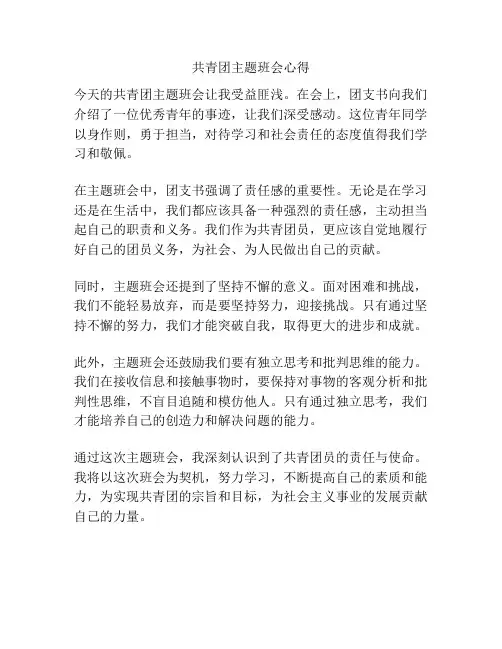 共青团主题班会心得