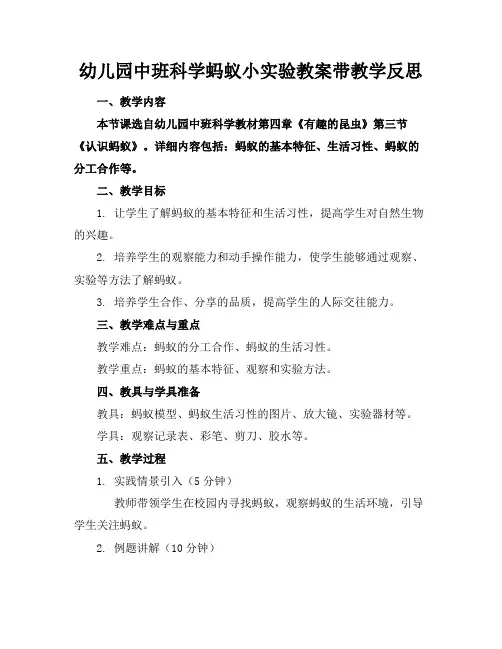 幼儿园中班科学蚂蚁小实验教案带教学反思