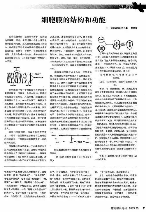 细胞膜的结构和功能