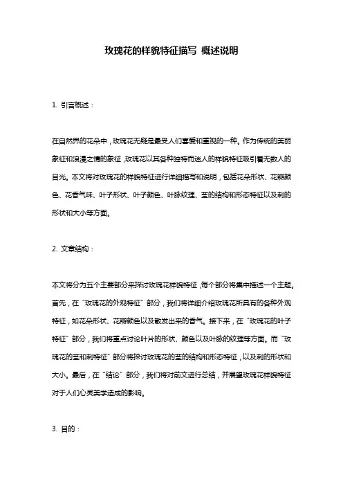 玫瑰花的样貌特征描写_概述说明