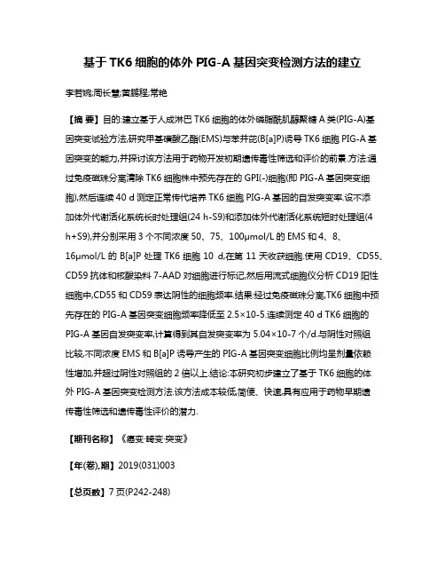 基于TK6细胞的体外PIG-A基因突变检测方法的建立