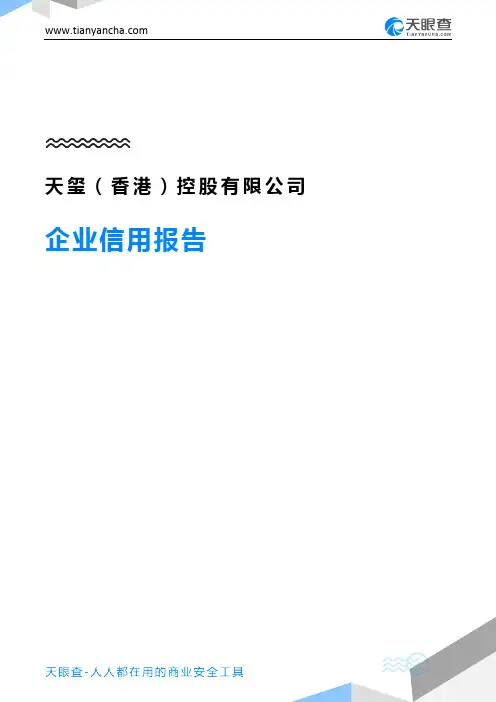 天玺(香港)控股有限公司企业信用报告-天眼查