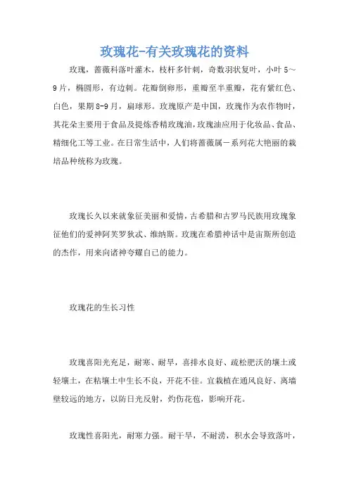 玫瑰花-有关玫瑰花的资料