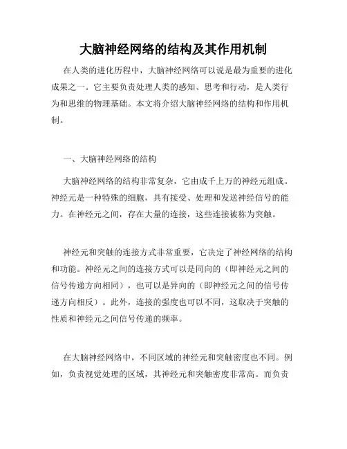 大脑神经网络的结构及其作用机制