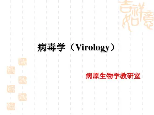 病毒学PPT课件