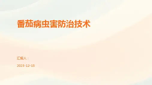 番茄病虫害防治技术