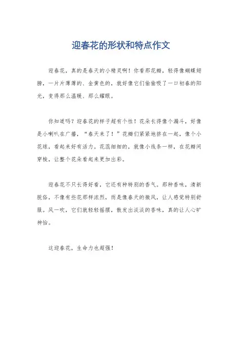 迎春花的形状和特点作文