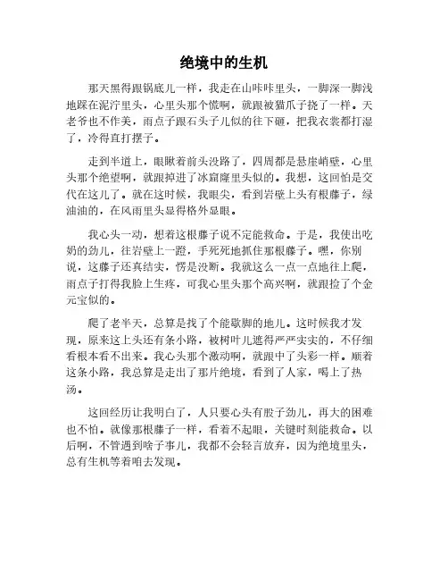 绝境与生机作文