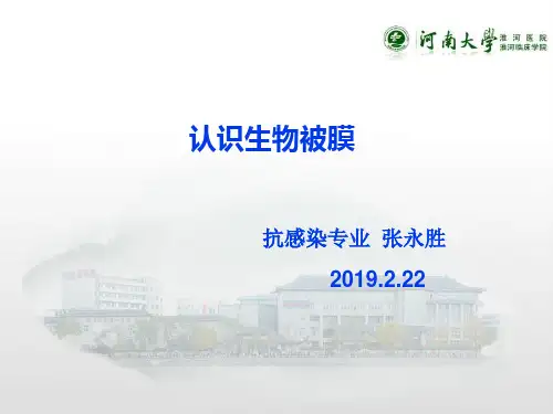 认识生物被膜