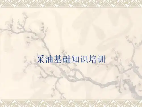 采油基础知识培训