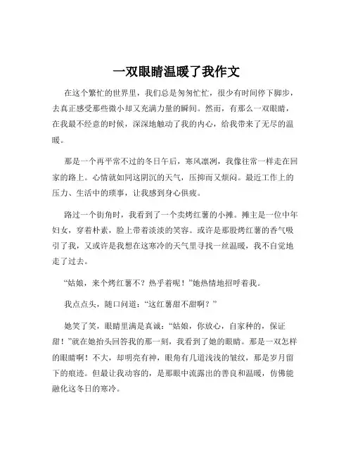 一双眼睛温暖了我作文