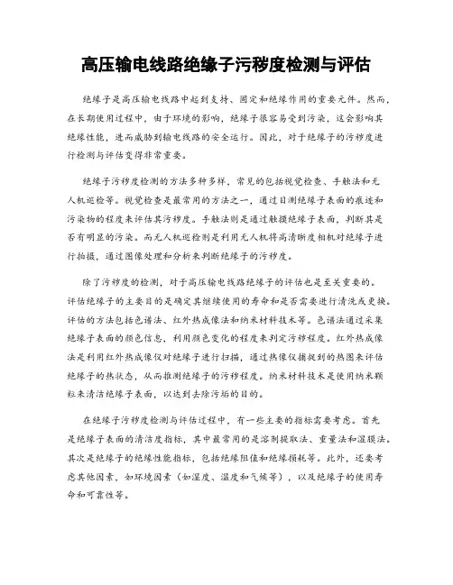 高压输电线路绝缘子污秽度检测与评估