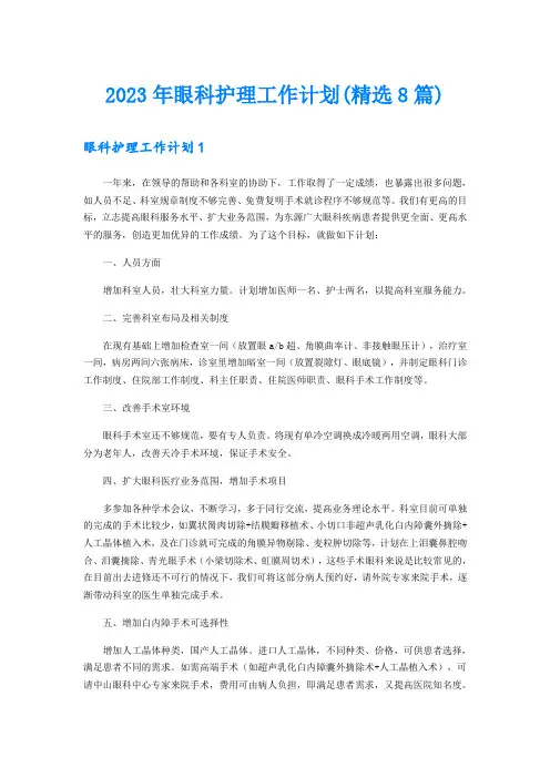 2023年眼科护理工作计划(精选8篇)