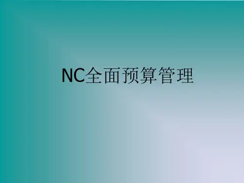 NC全面计划预算