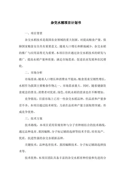 杂交水稻项目计划书