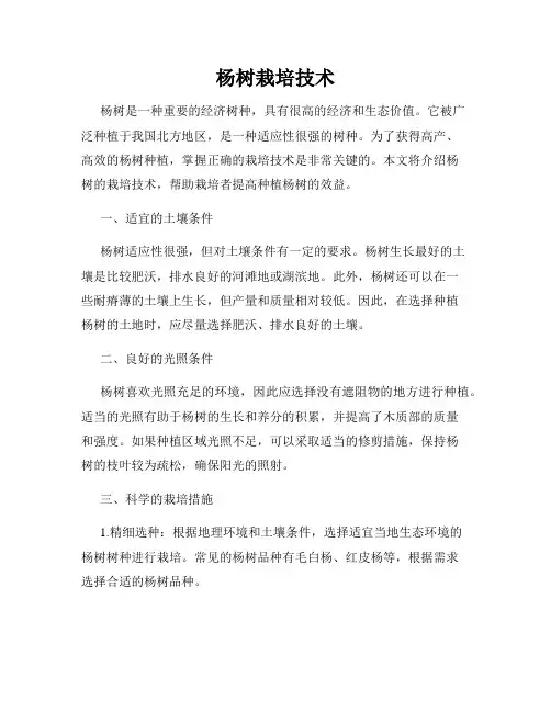 杨树栽培技术