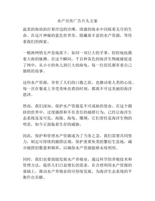 水产宣传广告片头文案