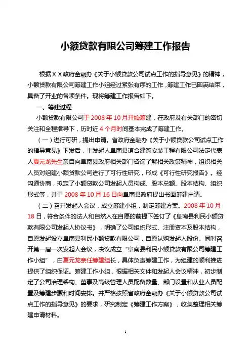 小额贷款有限公司筹建工作报告